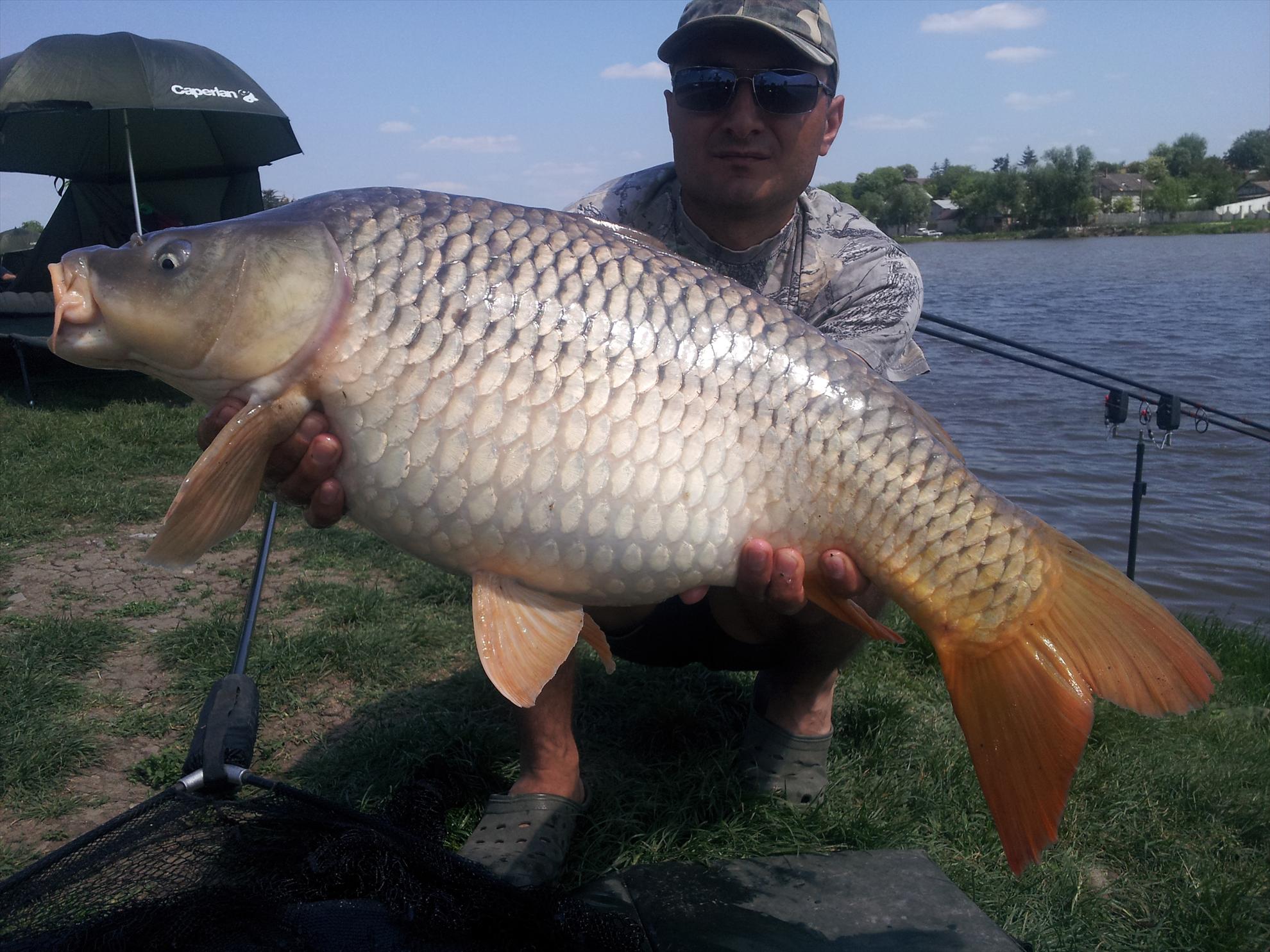 Moara Vlasiei - 20130506141040.jpg